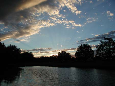 water, grass and trees....all on the grassy playa :)